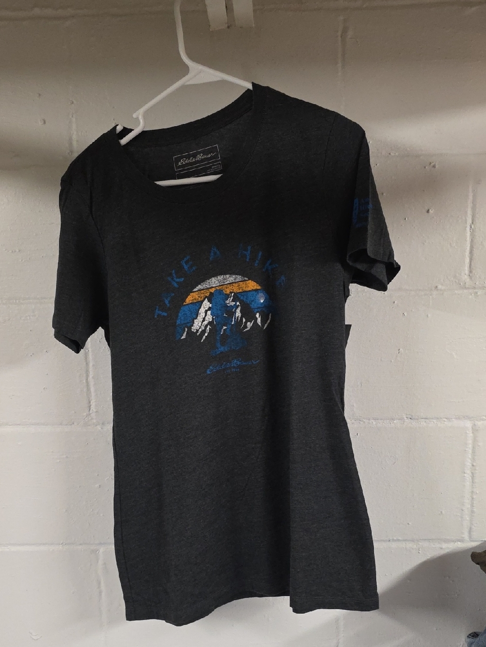 Eddie Bauer Charcoal Short-Sleeve Graphic Tee with Blue & Gold Accents